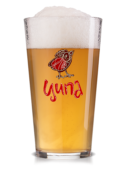 Крафтове пиво ЦИПА Золота Golden Ale
