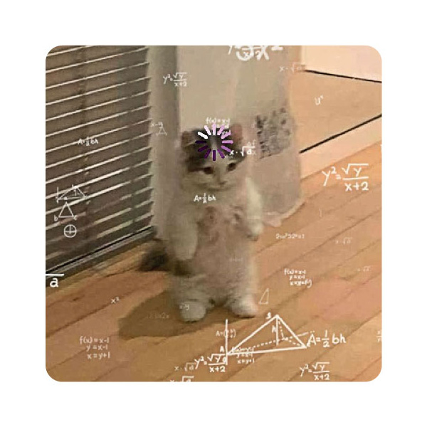 Стікер-наліпка «Котик з формулами»