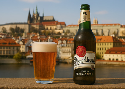 Огляд чеського пива: найкращі сорти та популярні бренди