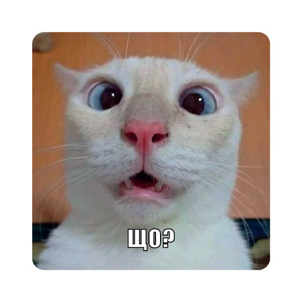 Стікер-наліпка «Що?»