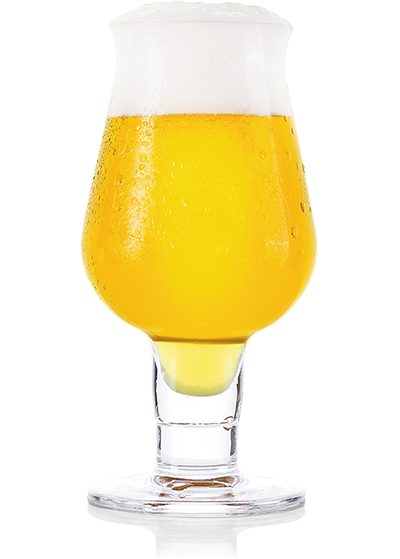 Пиво FDB «Beerphoria» світле нефільтроване 5.5°