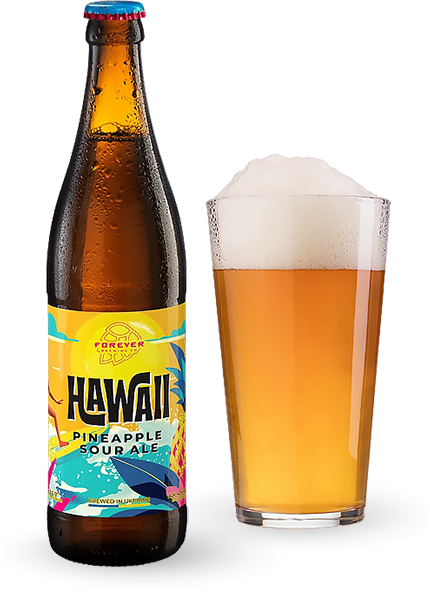 Пиво Forever Hawaii Pineapple Sour Ale 0.5л