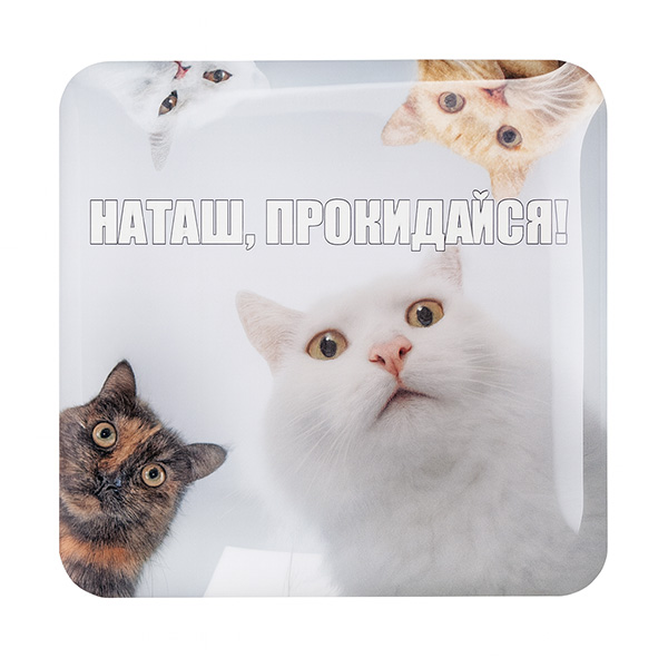 Стікер-наліпка «Наташа прокидайся»