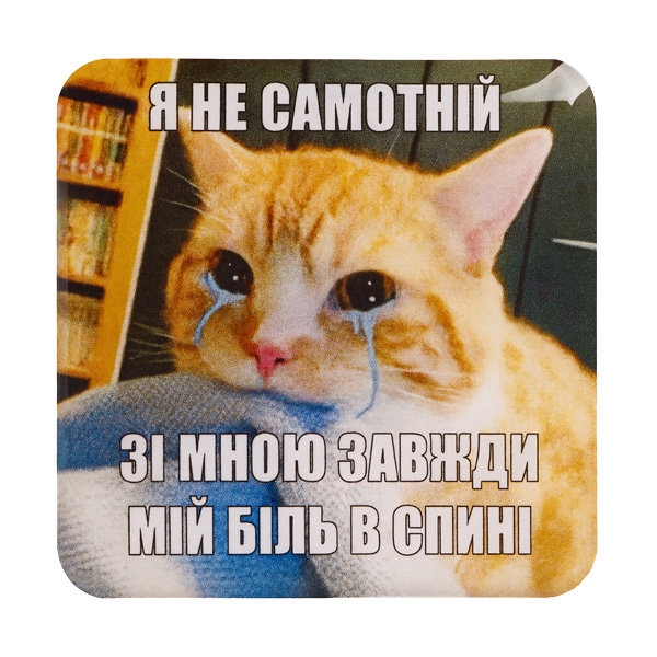 Стікер-наліпка «Я не самотній, зі мною завжди мій біль в спині»