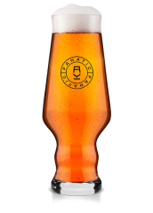 Крафтовое пиво Fanatic IPA VIBES English IPA