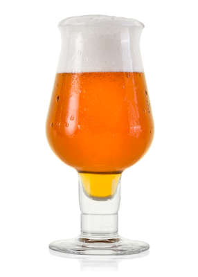 Пиво «Hopak IPA» светлое нефильтрованное 6.9°