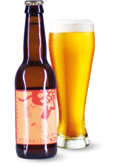 Пиво Mikkeller «SpontanDryHop Citra» светлое фильтрованное 5.5°