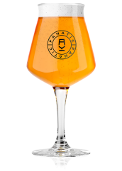Крафтовое пиво Fanatic IPA VIBES New England IPA