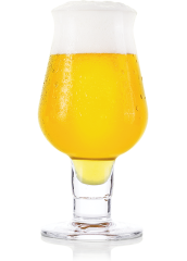 Пиво FDB «Beerphoria» светлое нефильтрованное 5.5°