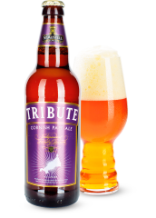 Пиво St Austell «Tribute» светлое фильтрованное 4.2°