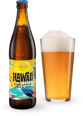 Пиво Forever Hawaii Pineapple Sour Ale 0.5л