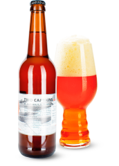 Пиво Nogne O «Two Captains Double IPA» светлое нефильтрованное 8.5°