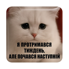 Стикер-наклейка «Я протримався тиждень, але почався наступний»