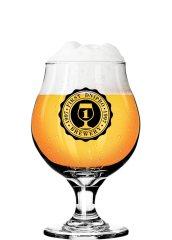 Пиво FDB EMOTIONS «Desire Gose» светлое нефильтрованное 5°